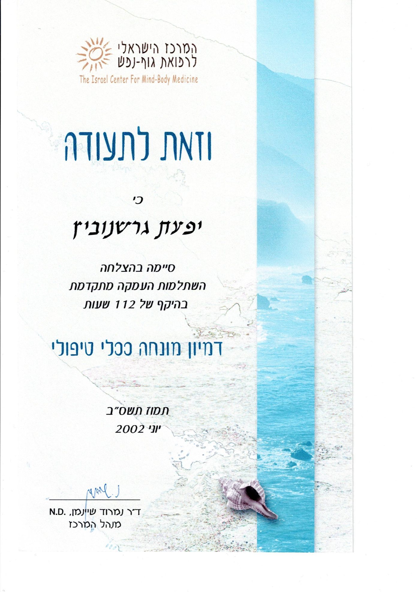 דמיון מודרך ככלי טיפולי, 2002